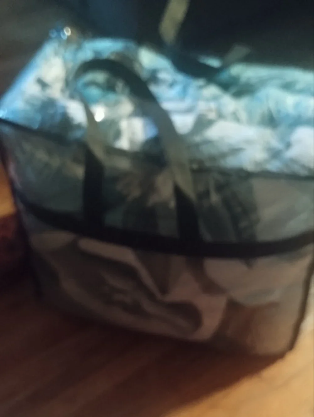 Clear Storage Bag with Black Handles and Trim